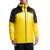 Yellow/Black